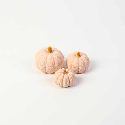 Pumpkins - dusty pink - set of three pieces