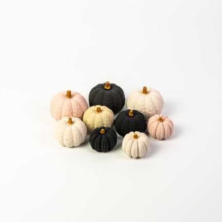 Pumpkins assortment